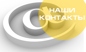 контакты